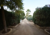 Detached villa with land for sale on España, Villalba del Alcor, ref: TR142206 photo