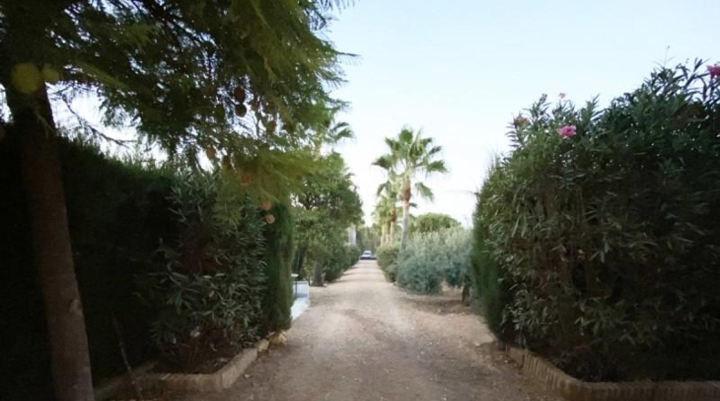 Huelva - Villalba del Alcor - 4152m2