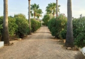 Detached villa with land for sale on España, Villalba del Alcor, ref: TR142206 photo