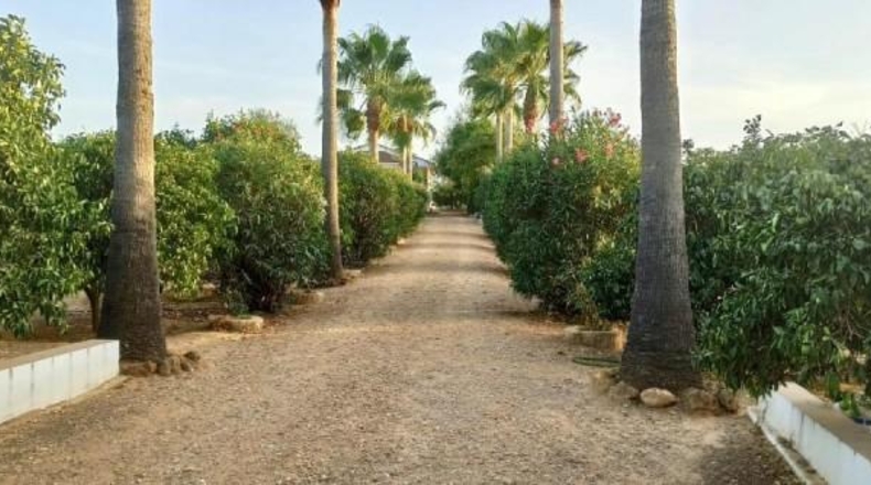 Huelva - Villalba del Alcor - 4152m2