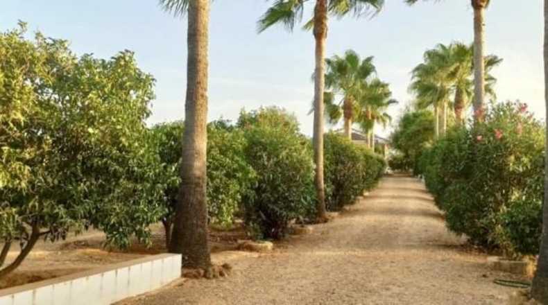 Huelva - Villalba del Alcor - 4152m2