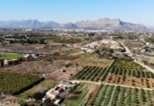 Terreno no urbanizable en venta en la España, Pedreguer, ref: TR256357 foto