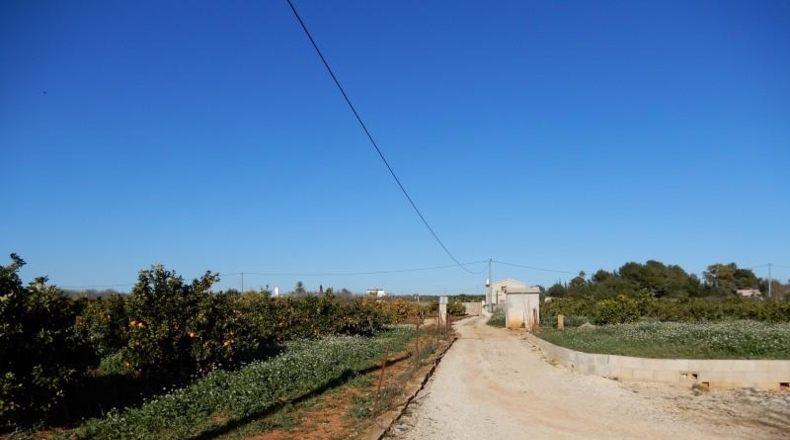 Alicante - Pedreguer - 10004m2
