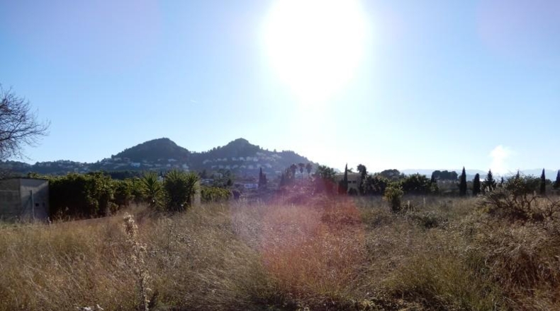 Alicante - Pedreguer - 10004m2