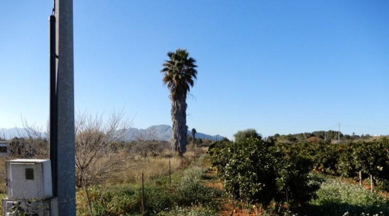 Alicante - Pedreguer - 10004m2
