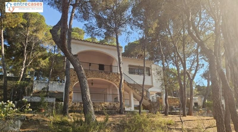 Valencia - Torres Torres - 239m2
