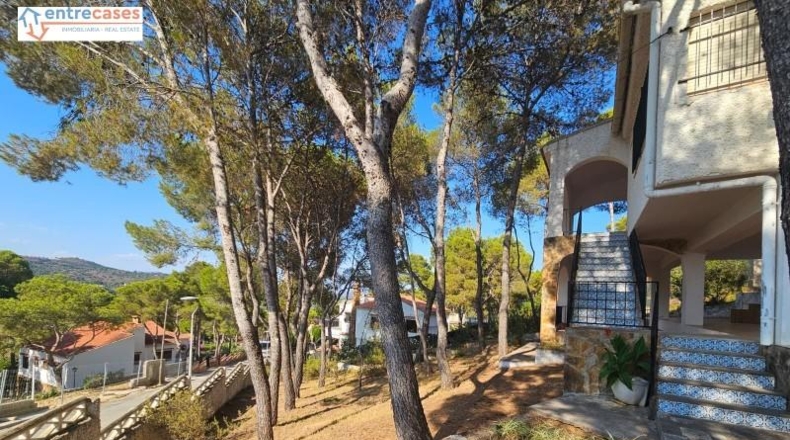 Valencia - Torres Torres - 239m2