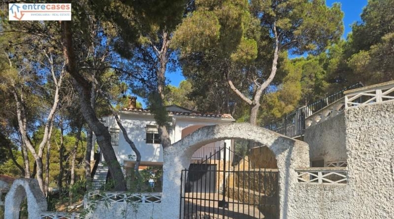 Valencia - Torres Torres - 239m2
