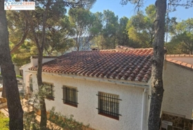 Foto 13