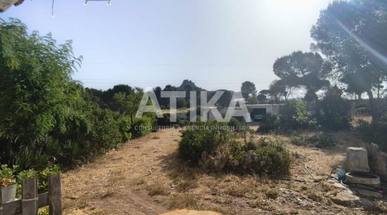 Valencia - Bocairent - 6849m2