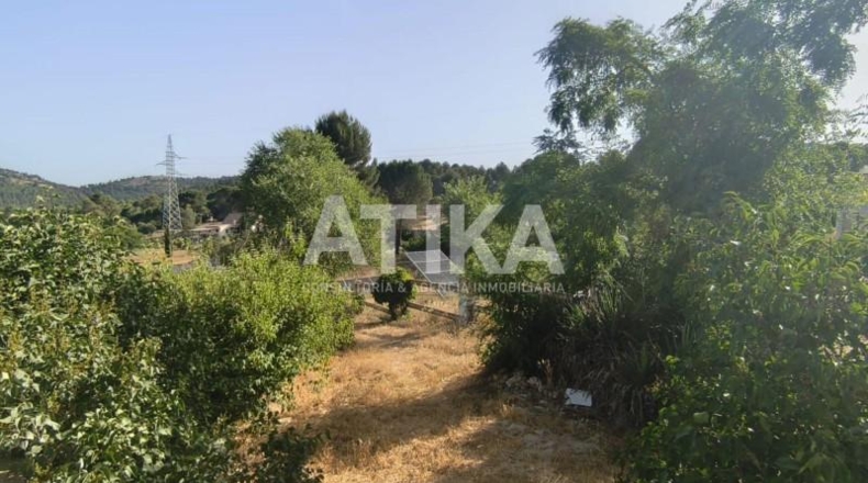 Valencia - Bocairent - 6849m2