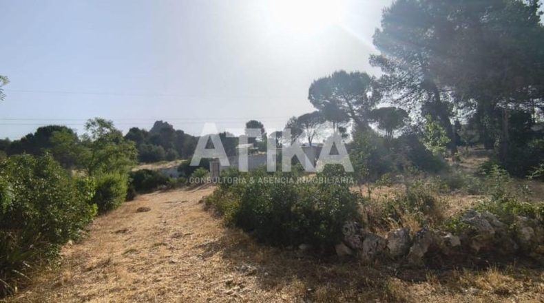 Valencia - Bocairent - 6849m2