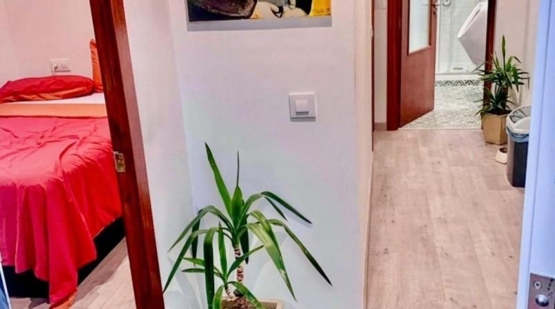 Barcelona - Sant Pere de Ribes - 890m2
