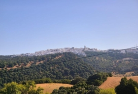 Vejer de la Frontera 21999&nbsp;m²