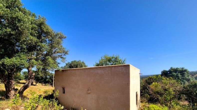 Cadiz - Vejer de la Frontera - 21999m2
