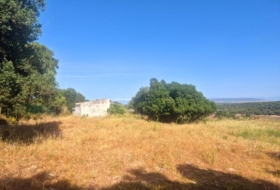 Vejer de la Frontera 21999&nbsp;m²