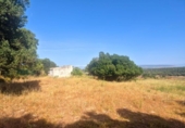 Terreno no urbanizable en venta en la España, Vejer de la Frontera, ref: TR416027 foto
