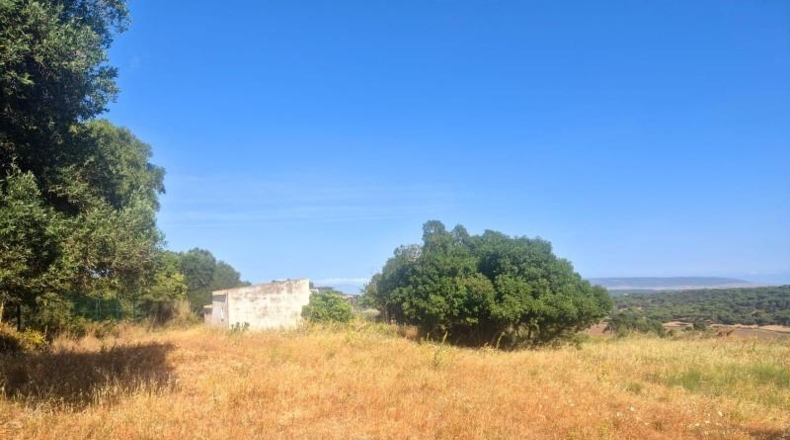 Cadiz - Vejer de la Frontera - 21999m2