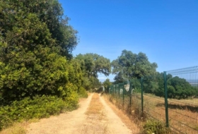Vejer de la Frontera 21999&nbsp;m²