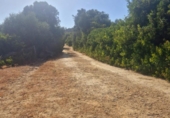 Terreno no urbanizable en venta en la España, Vejer de la Frontera, ref: TR416027 foto