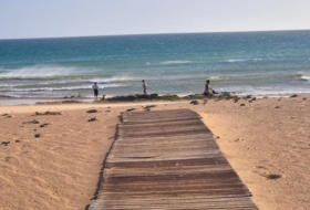 Vejer de la Frontera 21999&nbsp;m²