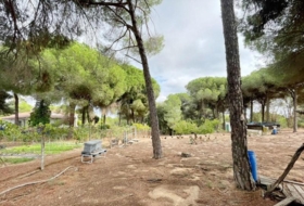Beas 10000&nbsp;m²
