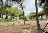 Casa de camp amb terreny en venda a la España, Beas, ref.: TR356614 foto