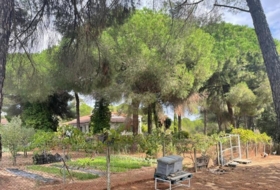Beas 10000&nbsp;m²