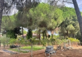 Casa de camp amb terreny en venda a la España, Beas, ref.: TR356614 foto