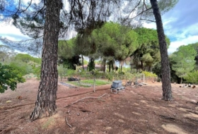 Beas 10000&nbsp;m²