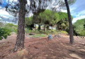 Casa de camp amb terreny en venda a la España, Beas, ref.: TR356614 foto