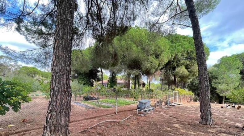 Huelva - Beas - 10000m2