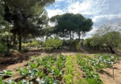 Casa de camp amb terreny en venda a la España, Beas, ref.: TR356614 foto