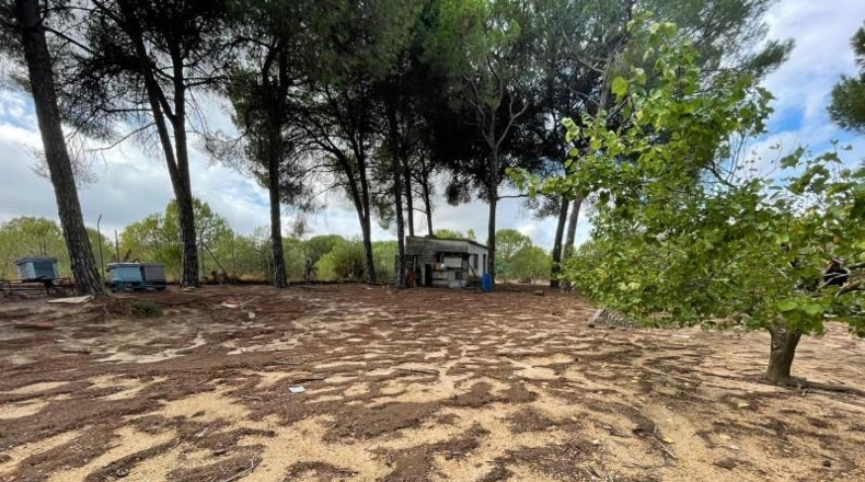 Huelva - Beas - 10000m2