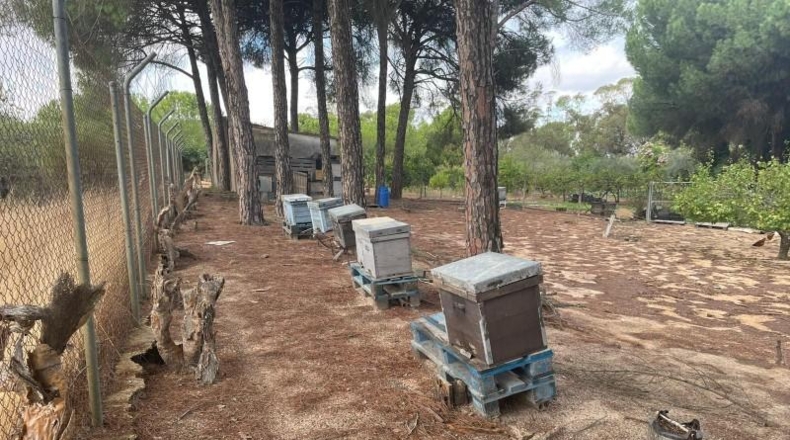 Huelva - Beas - 10000m2