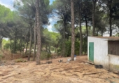 Casa de camp amb terreny en venda a la España, Beas, ref.: TR356614 foto