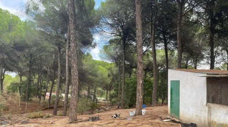 Huelva - Beas - 10000m2