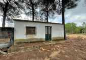 Casa de camp amb terreny en venda a la España, Beas, ref.: TR356614 foto