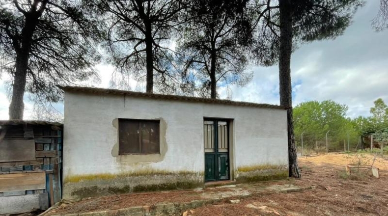 Huelva - Beas - 10000m2