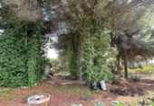 Casa de camp amb terreny en venda a la España, Beas, ref.: TR356614 foto