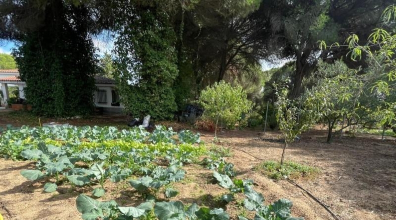 Huelva - Beas - 10000m2