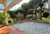 Casa de camp amb terreny en venda a la España, Beas, ref.: TR356614 foto