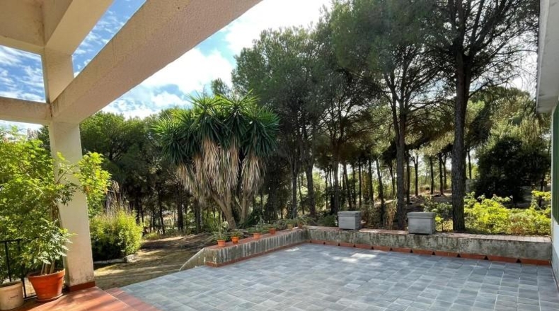 Huelva - Beas - 10000m2
