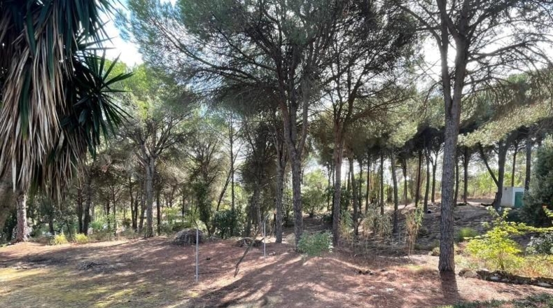 Huelva - Beas - 10000m2