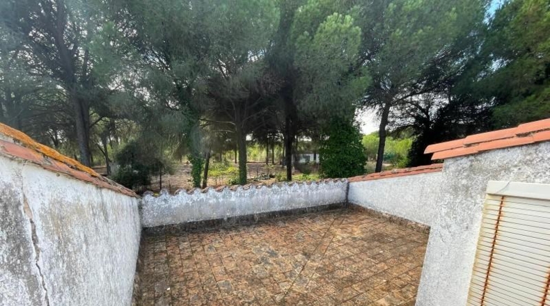 Huelva - Beas - 10000m2