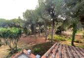 Casa de camp amb terreny en venda a la España, Beas, ref.: TR356614 foto