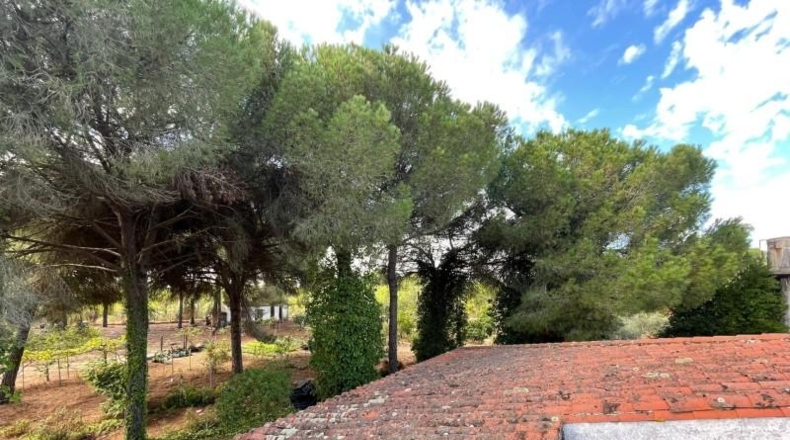 Huelva - Beas - 10000m2