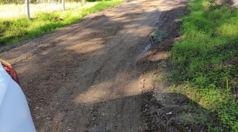 Huelva - Beas - 10000m2