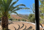 Casa de campo con terreno en venta en la España, Canillas de Aceituno, ref: TR416035 foto