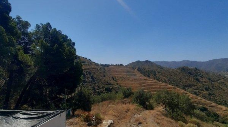 Malaga - Canillas de Aceituno - 15300m2